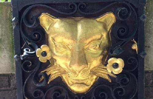 Lion Face